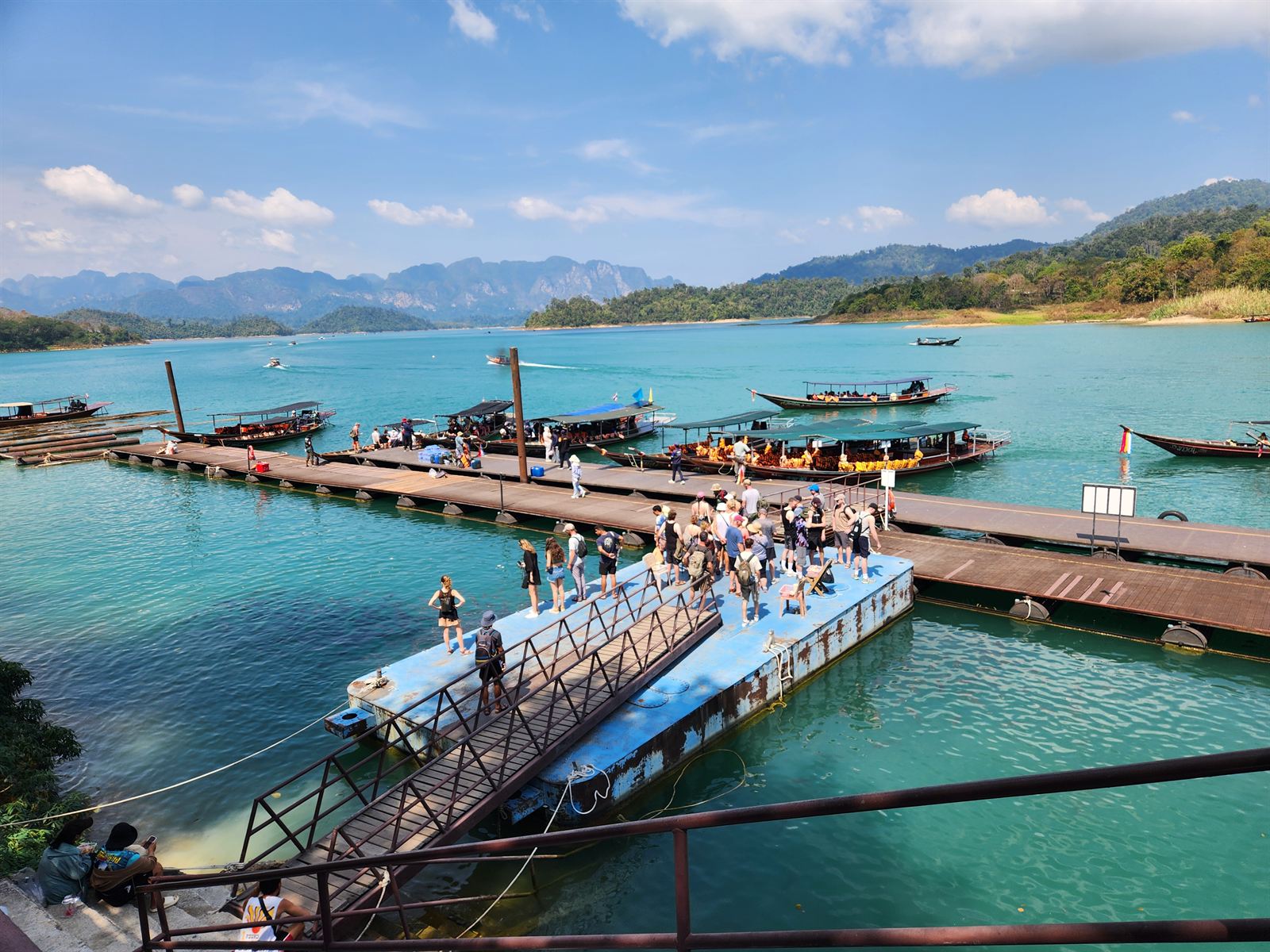 ชะนีบนเรือนยอด