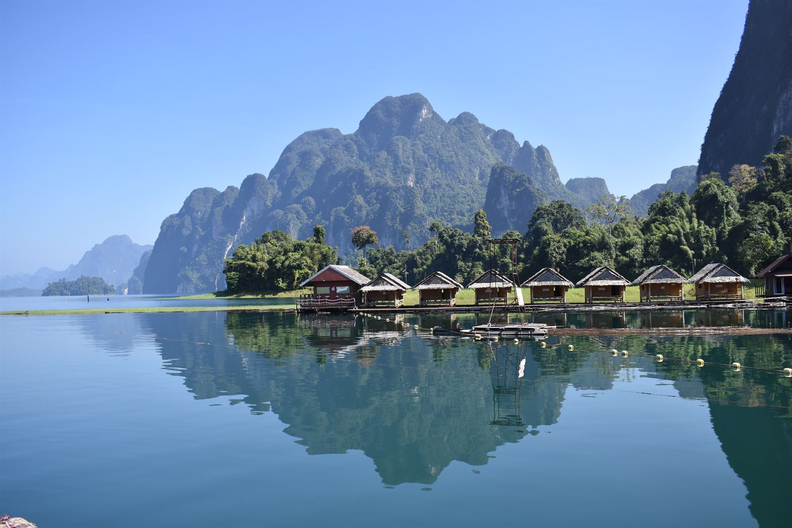 นกเงือกเกาะกิ่ง