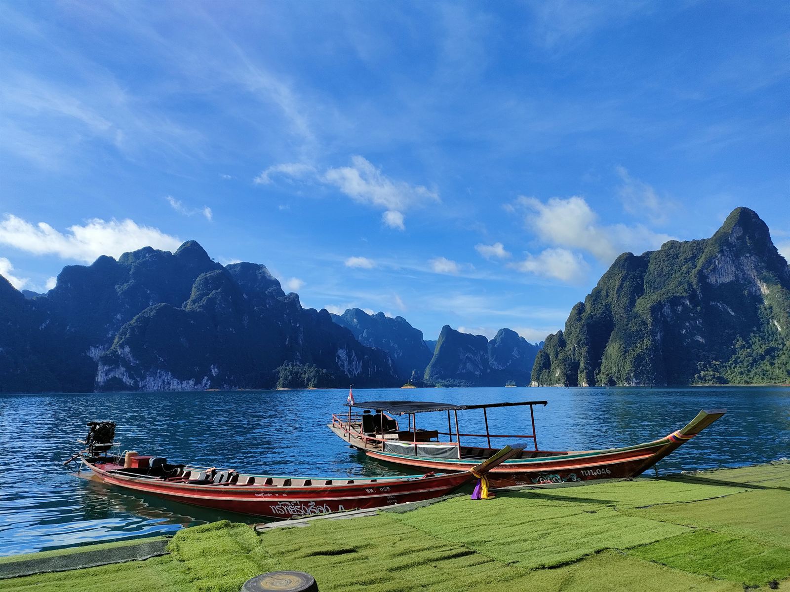 ลำธารในป่า