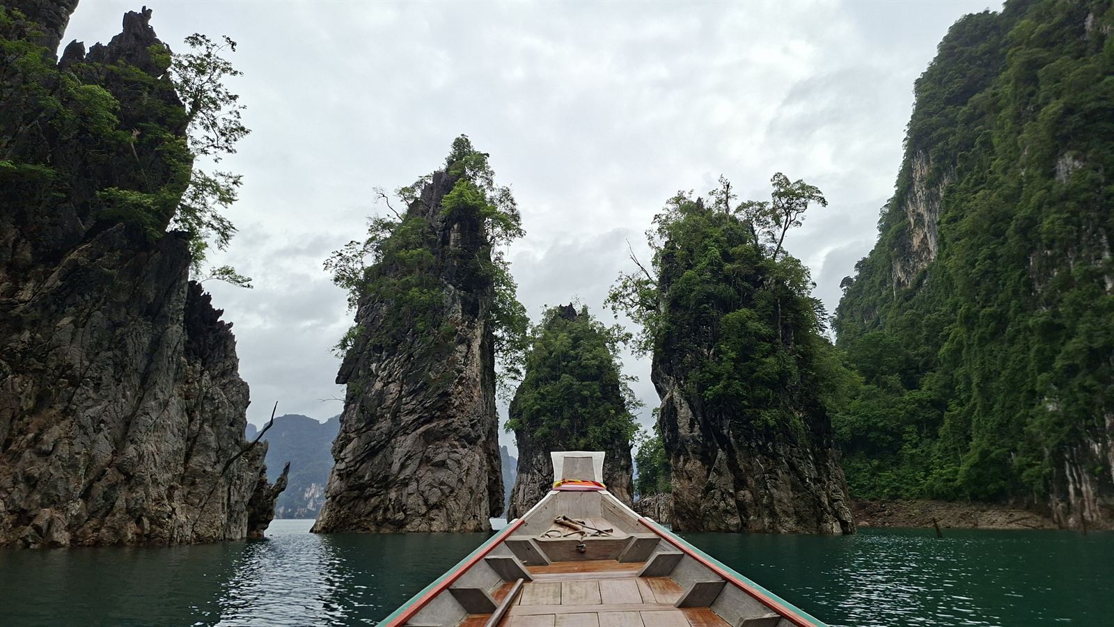 เรือนยอดป่าโบราณ
